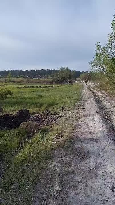  :         ..    