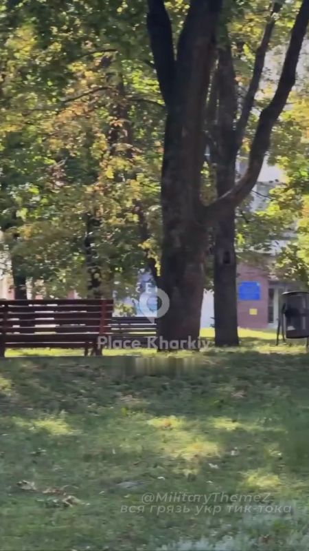 Каждое утро в городе Харькове начинается одинаково