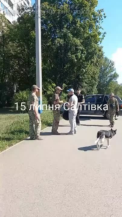          - ,      
