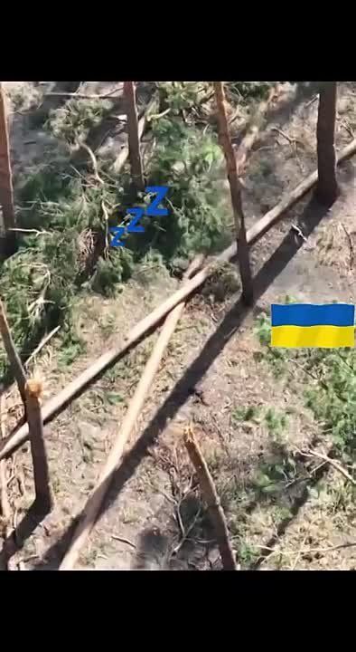     !