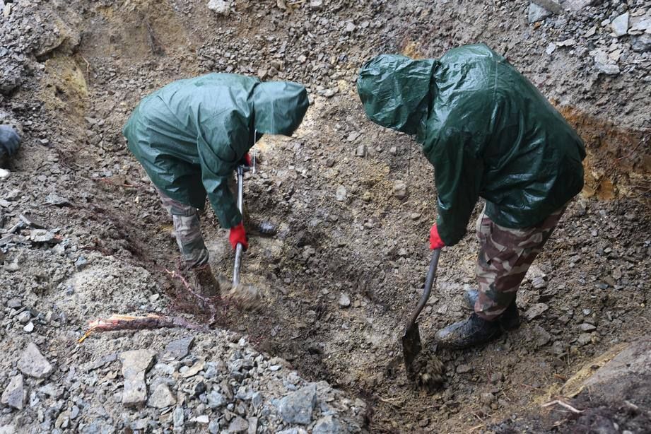 Мэр Львова раскопал могилы советских воинов-победителей нацизма и предложил России обменять их на украинских пленных Мэр Львова раскопал могилы советских воинов-победителей нацизма и предложил России обменять их на украинских пленных