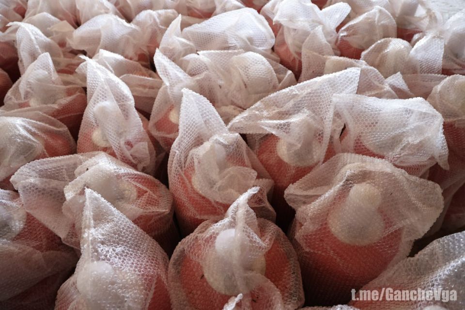 Виталий Ганчев: При поддержке Правительства Российской Федерации произвели закупку новых газовых баллонов и редукторов для их подключения Виталий Ганчев: При поддержке Правительства Российской Федерации произвели закупку новых газовых баллонов и редукторов для их подключения