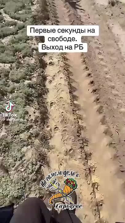 &quot;   !   **  ** &quot;