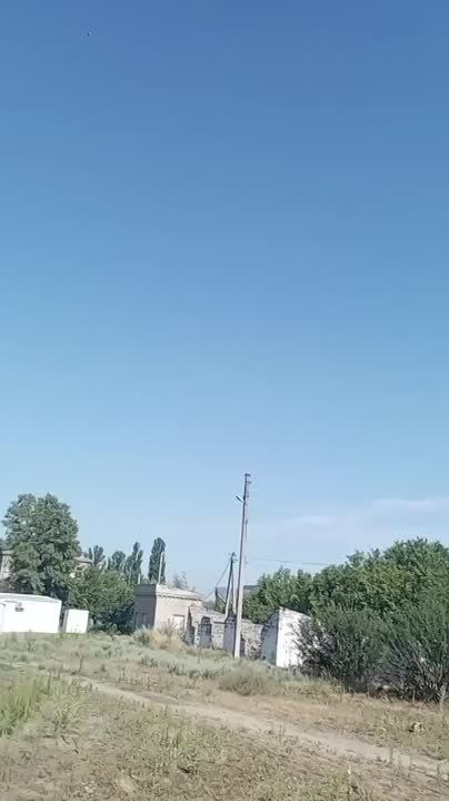       ( )