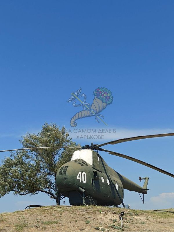   ?     ,  ,   ?     &quot; &quot;,   ( ),    1982 .   40-   ...