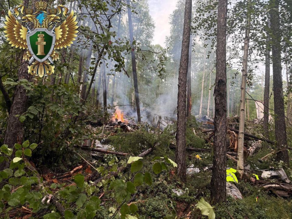 Кадры с места крушения Ан-24 в Амурской области Кадры с места крушения Ан-24 в Амурской области