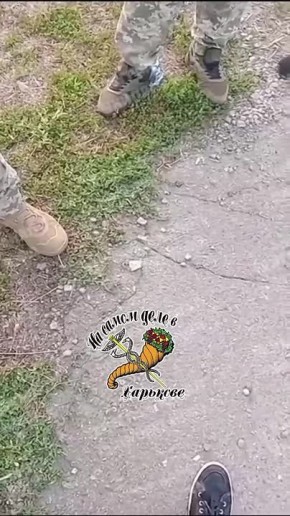 &quot;  ,  &quot;