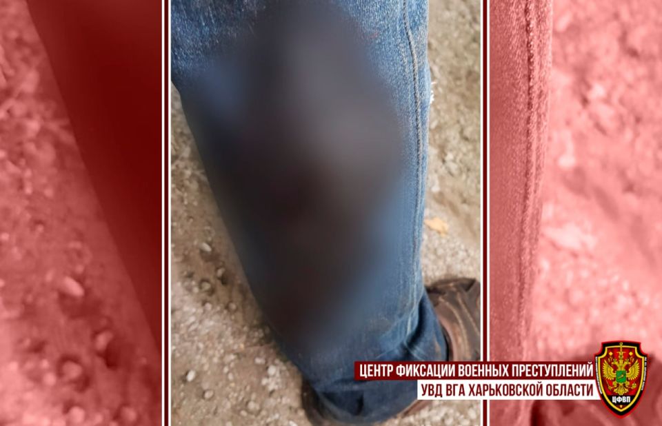 Возбуждено уголовное дело по факту совершения теракта на территории Купянского района Харьковской области Возбуждено уголовное дело по факту совершения теракта на территории Купянского района Харьковской области