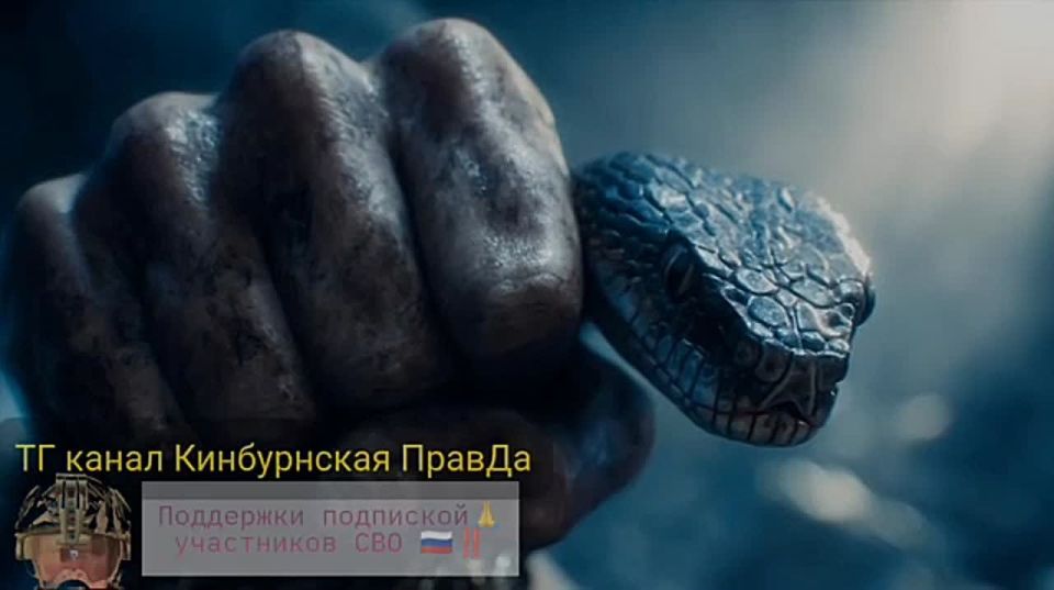 У паразитов с Кинбурнской Косы - параноя