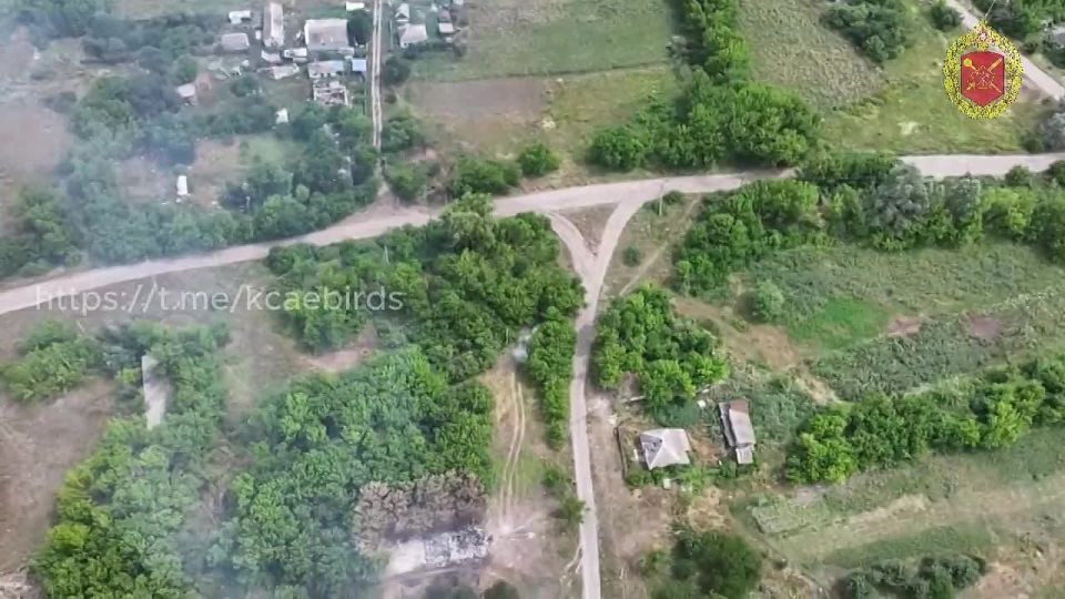 У среднестатистического колумбийца с недалёким складом ума в жизни рано или поздно наступает выбор: быть убитым на войне колумбийских наркокартелей или быть убитым на украинской войне