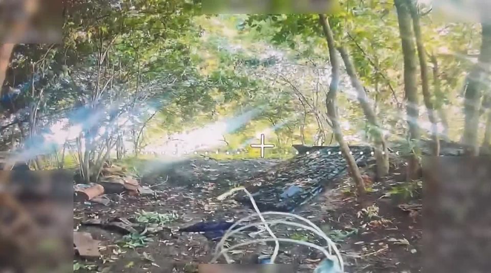 Пока ВСУ рисуют карты, мы рисуем мишени!