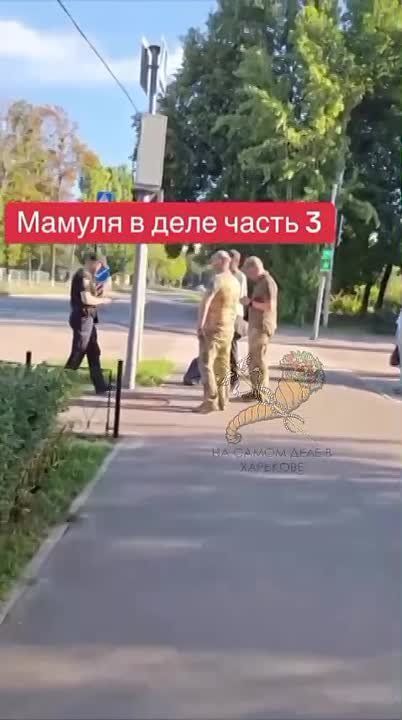 Женщина в Харькове гоняет ТЦкунов, как шелудивых псов