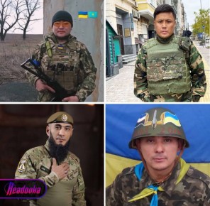           ,        ,  Readovka