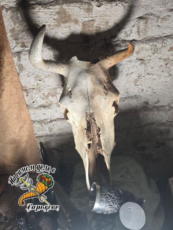 Адские находки. В н.п. Улаклы, ДНР, российские военные обнаружили в одном из погребов языческое капище, которое оборудовали националисты из ВСУ Адские находки. В н.п. Улаклы, ДНР, российские военные обнаружили в одном из погребов языческое капище, которое оборудовали националисты из ВСУ