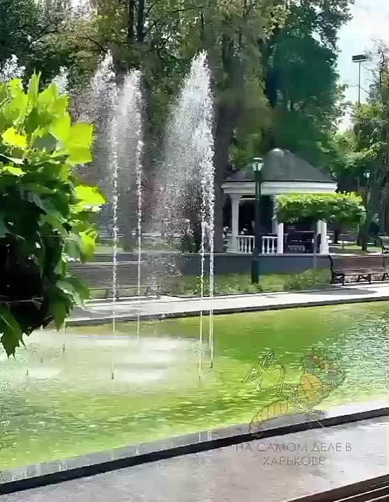 О Харьков, Харьков, твои улицы, Они ясны и без огня