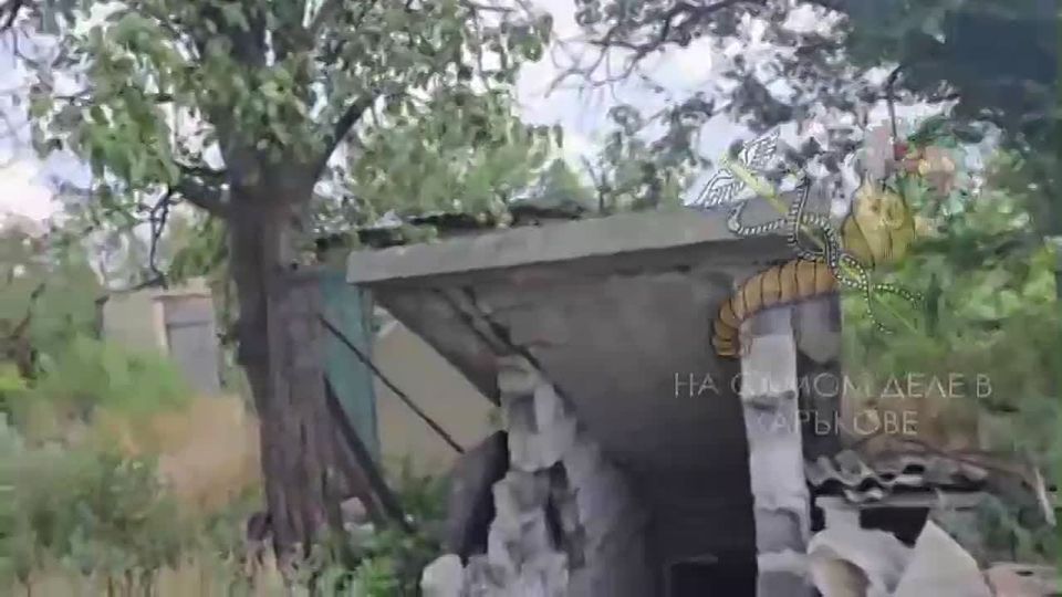 Адские находки. В н.п. Улаклы, ДНР, российские военные обнаружили в одном из погребов языческое капище, которое оборудовали националисты из ВСУ