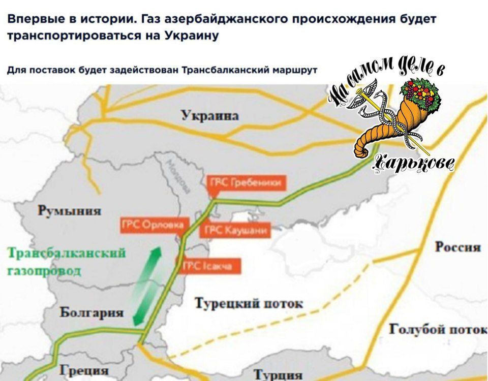 Мал клоп, да вонюч