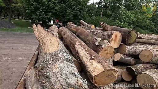 -             ,    ,     ...