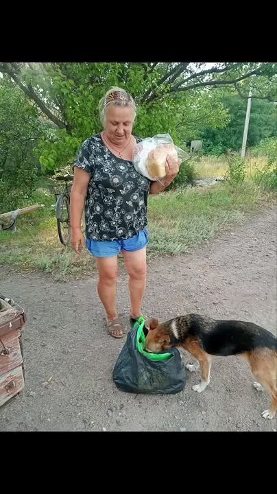 Купянский район, левый берег со стороны украинских волонтёров