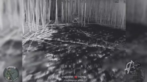    FPV-   -64         ,  Telegram- 