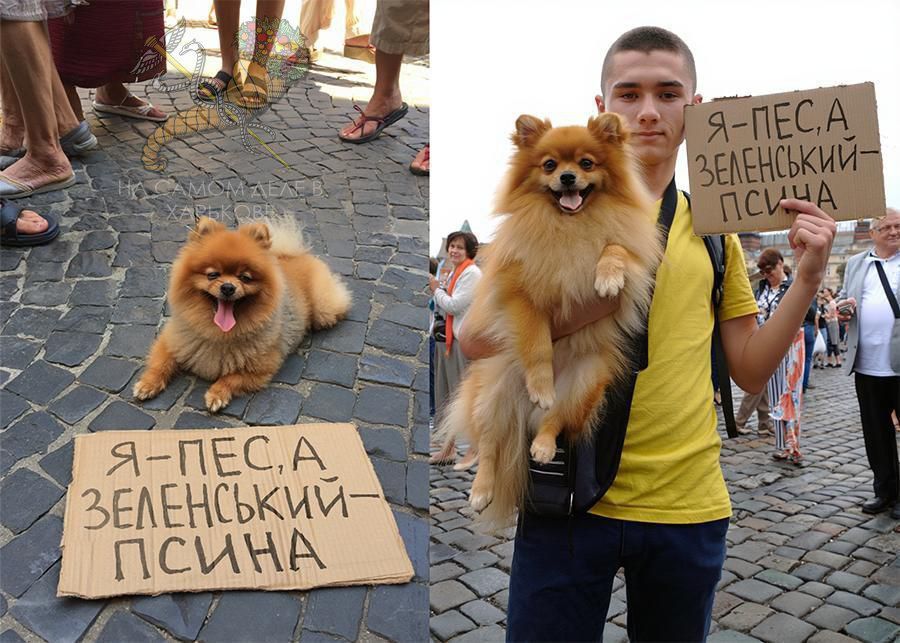 За шуточный плакат на митинге против закона про НАБУ и САП: