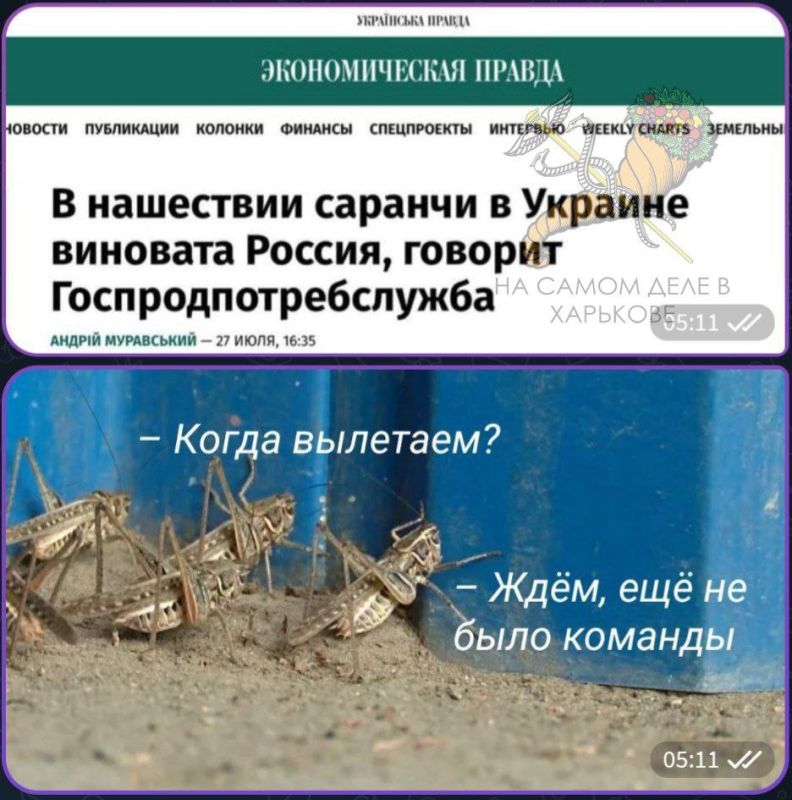 Интересно, а если б не было России, кого б тогда кастрюли во всех своих бедах обвиняли?