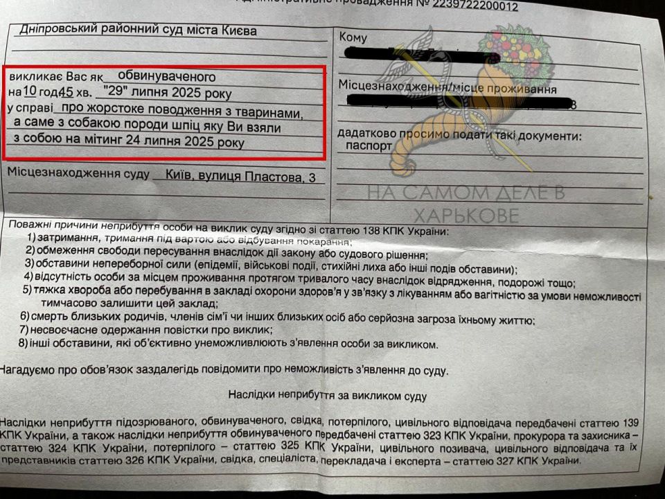 За шуточный плакат на митинге против закона про НАБУ и САП: За шуточный плакат на митинге против закона про НАБУ и САП: