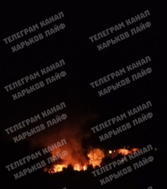  :        &quot;&quot;     ( )   ,  ( )  ,       