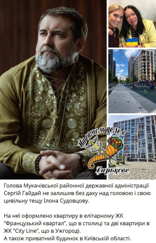 Неприкасаемых нет. Кроме Зеленского Неприкасаемых нет. Кроме Зеленского