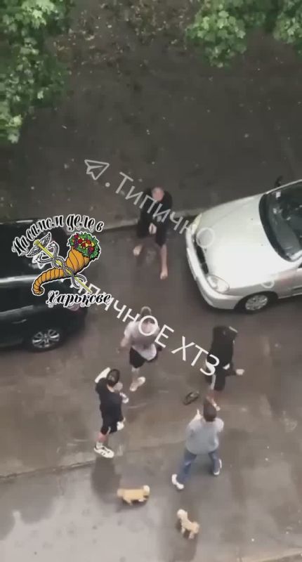   .     ,       