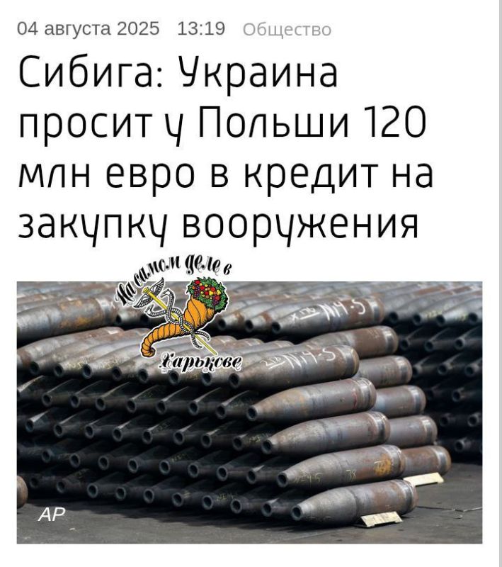 Сибига: Польский переносной зенитно-ракетный комплекс Piorun очень эффективен – он проверен на поле боя и Украина готова его покупать