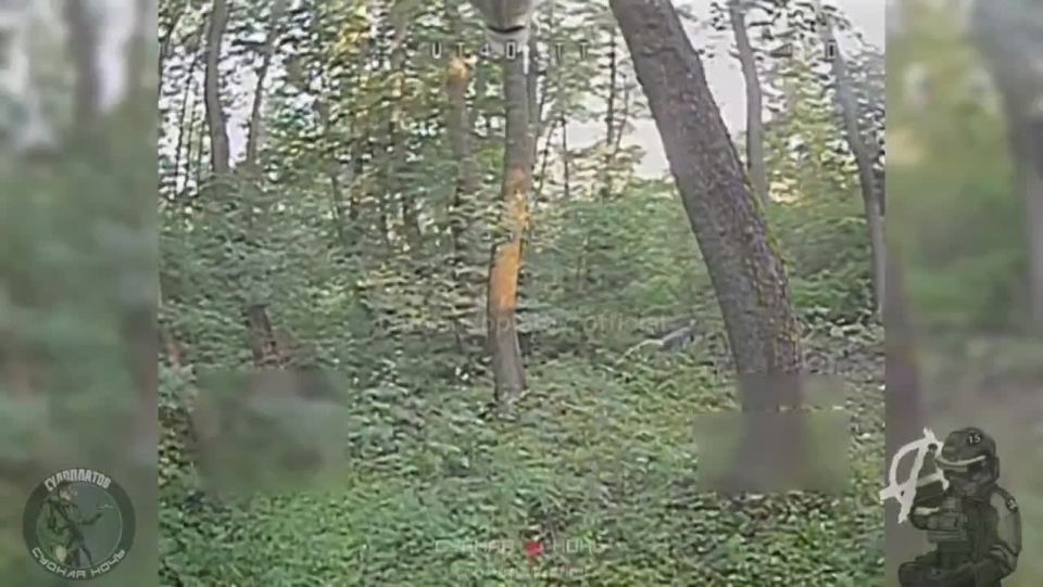    FPV- &quot;-40&quot;  &quot;&quot;     / ,    &quot;&quot;,  /