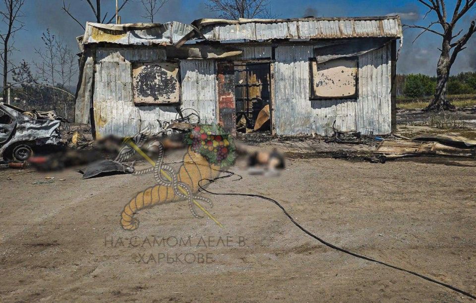 ВСУ продолжают творить ужасы по отношению к мирному населению Харьковщины ВСУ продолжают творить ужасы по отношению к мирному населению Харьковщины