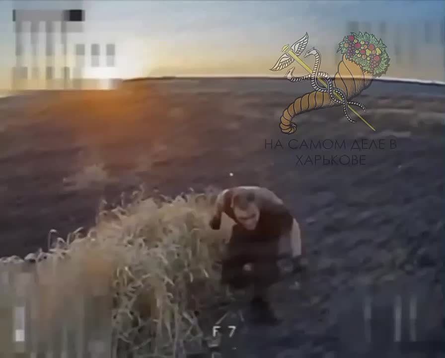     !.   ,       ,  ,      , !