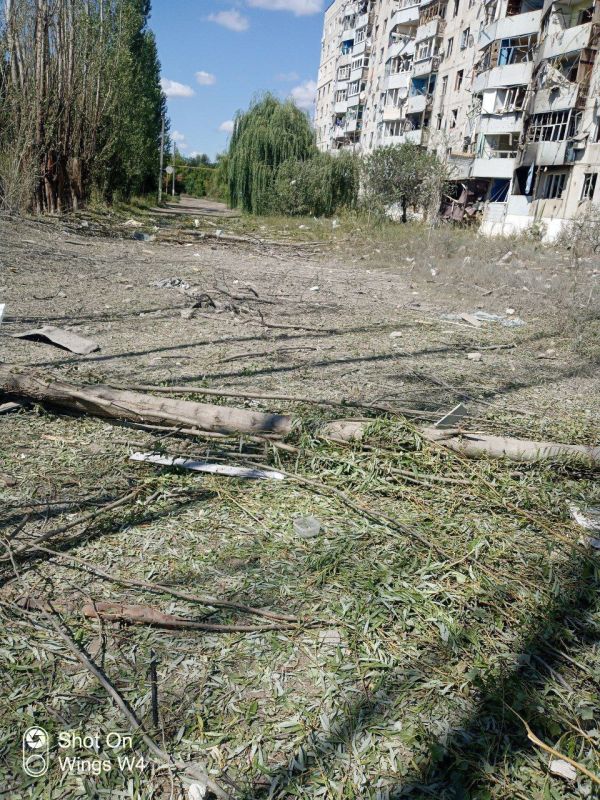 ����������. ��� ����� � ������ ����� ����� 31 ����