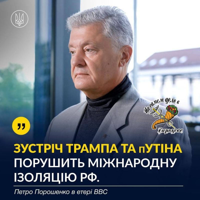 Повылазили оранжевые и шоколадные Повылазили оранжевые и шоколадные