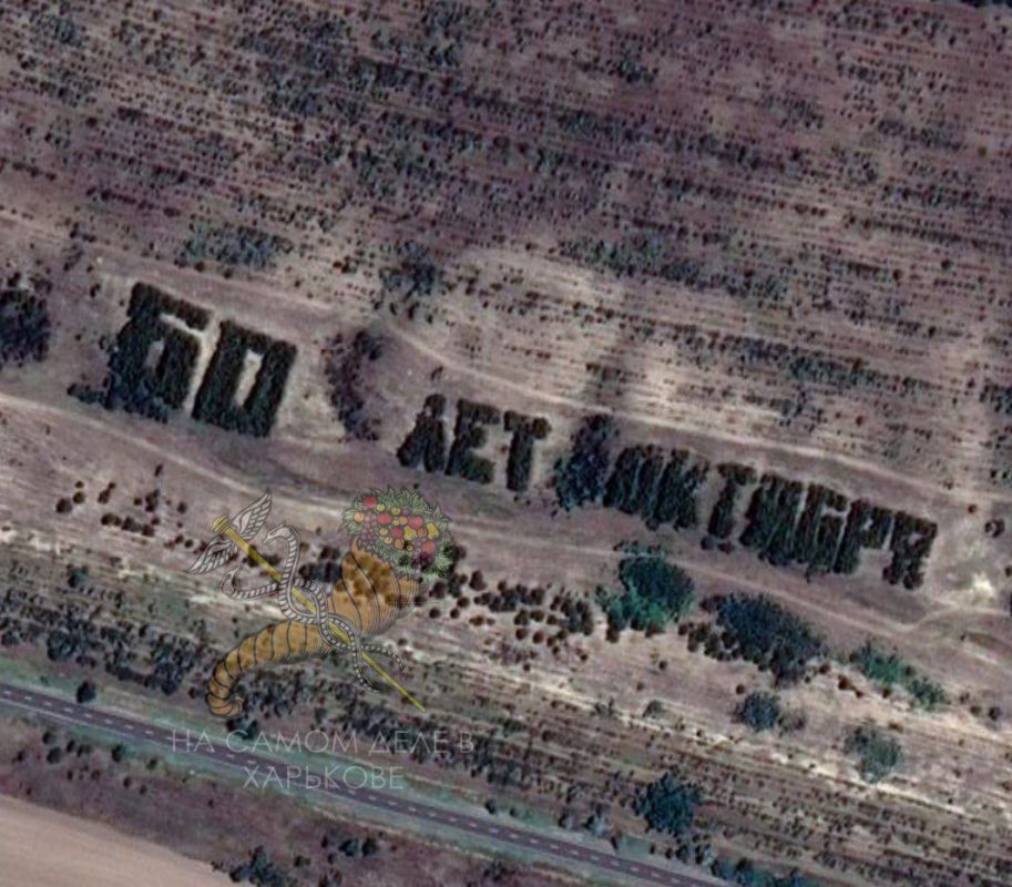 В СССР было популярным высаживать деревья в лесах в форме слов «ЛЕНИН» или «ОКТЯБРЬ» В СССР было популярным высаживать деревья в лесах в форме слов «ЛЕНИН» или «ОКТЯБРЬ»