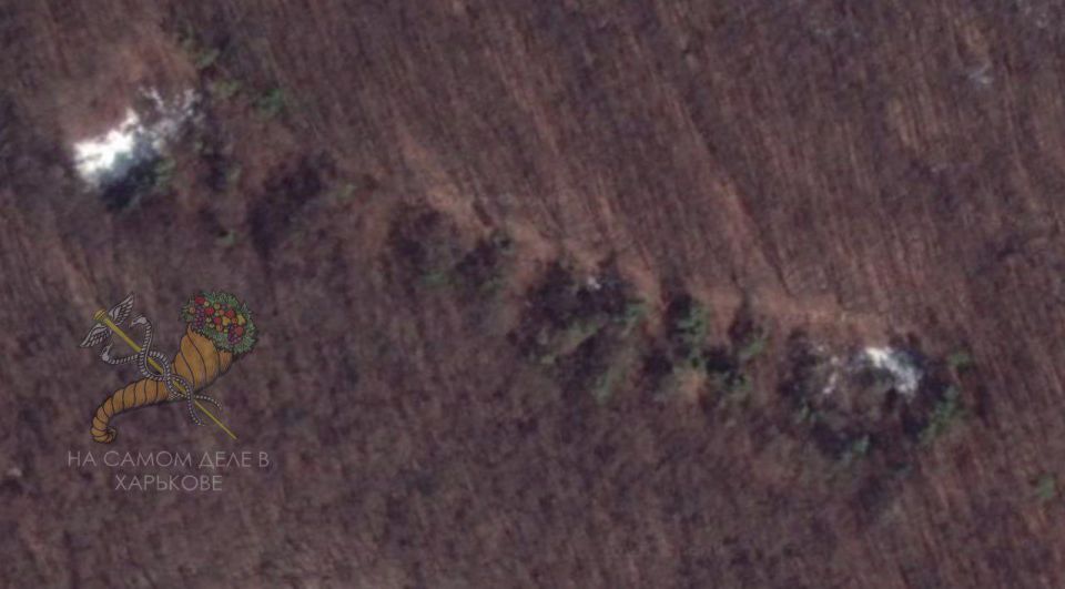 В СССР было популярным высаживать деревья в лесах в форме слов «ЛЕНИН» или «ОКТЯБРЬ» В СССР было популярным высаживать деревья в лесах в форме слов «ЛЕНИН» или «ОКТЯБРЬ»