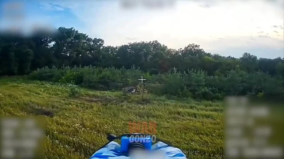 WarGonzo:  FPV-      
