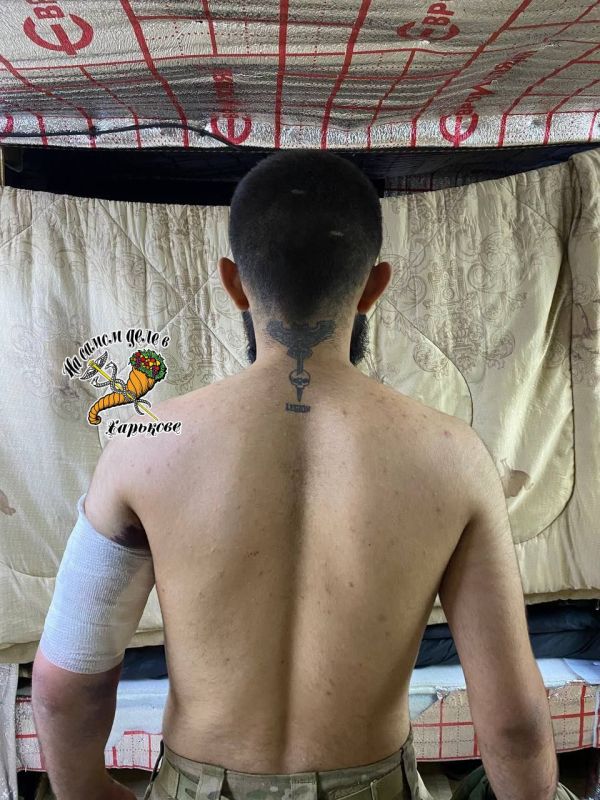             ,       :      ,  ,   ...