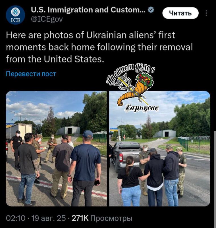 Совпадение или нет?). После встречи Трампа и Зеленского из США выгнали первую группу украинских беженцев