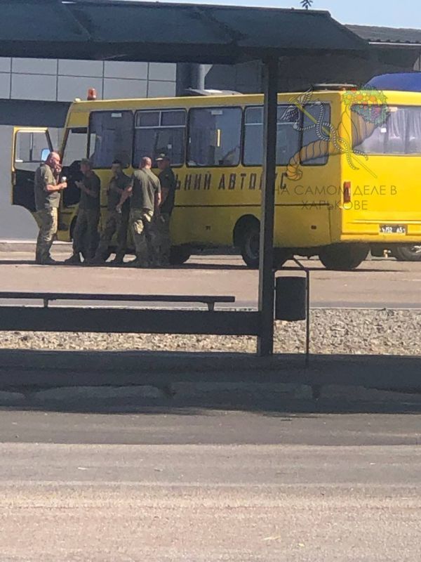 Надо ж как изменились школьники на Украине за три года