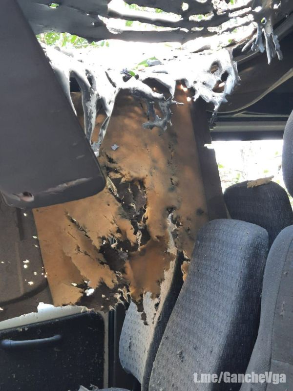  :         ,                , ...