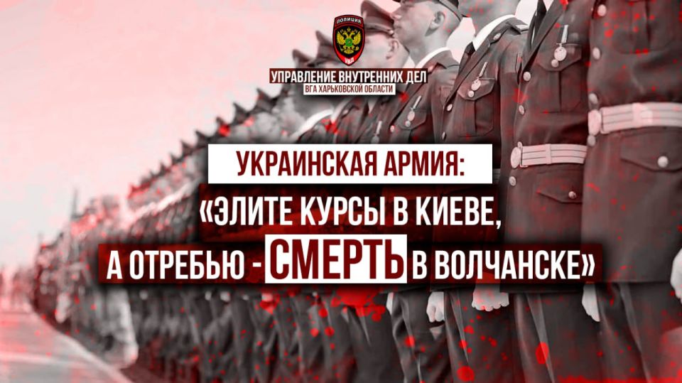 Украинская армия: «элите курсы в Киеве, а отребью - смерть в Волчанске»