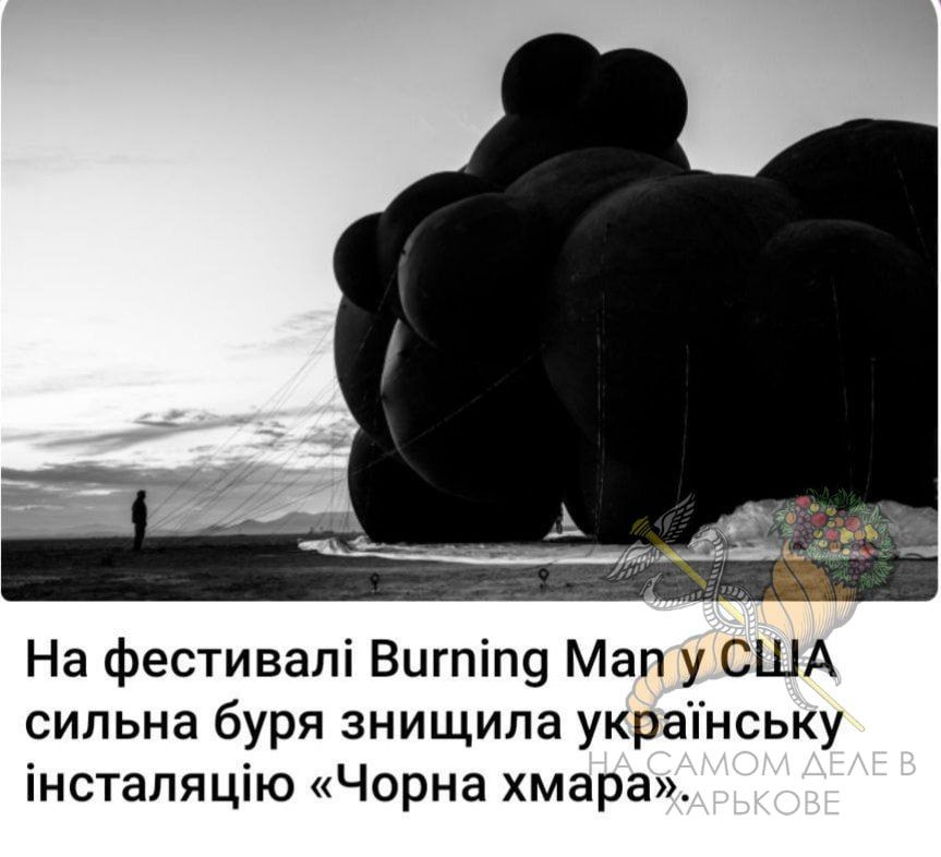 "Чудо" украинской дизайнерской мысли унесло ветром на выставке в США