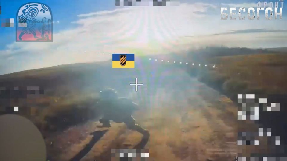  FPV-     3-   ,           ,    