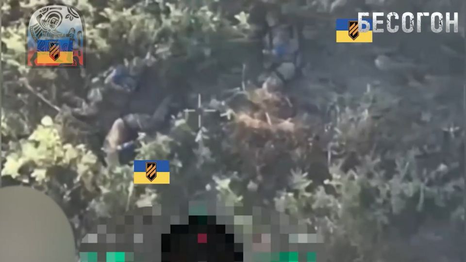  FPV-     3-   ,           ,    