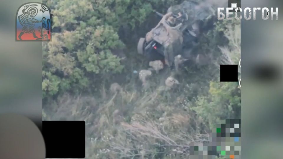  FPV-     3-   ,           ,    