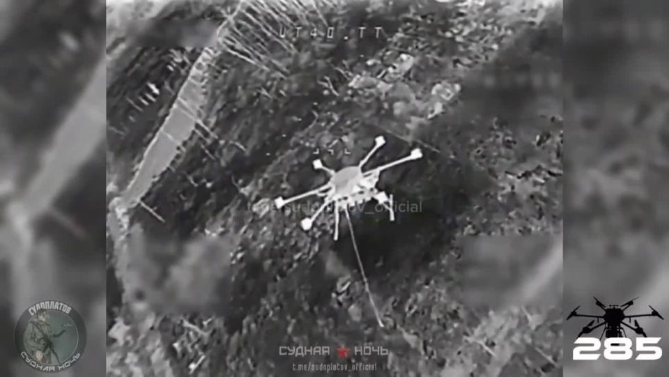    FPV- &quot;-40&quot;   7  ,          