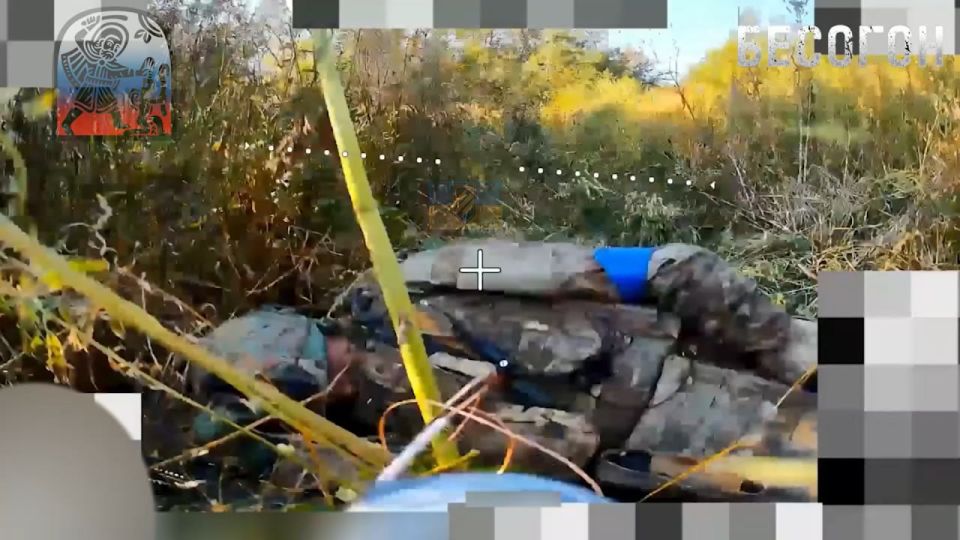  FPV-     3-   ,           ,    